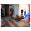 Galeria zdjęć: . Link otwiera powiększoną wersję zdjęcia.