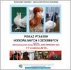 Galeria zdjęć: . Link otwiera powiększoną wersję zdjęcia.