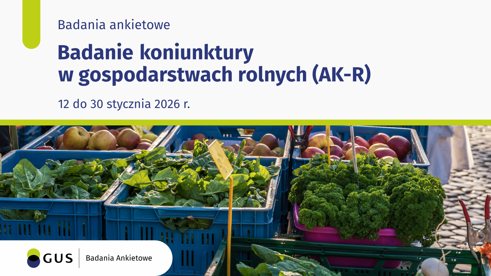 Zdjęcie: Koniunktura w gospodarstwach rolnych AK-R